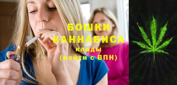 винт Богданович